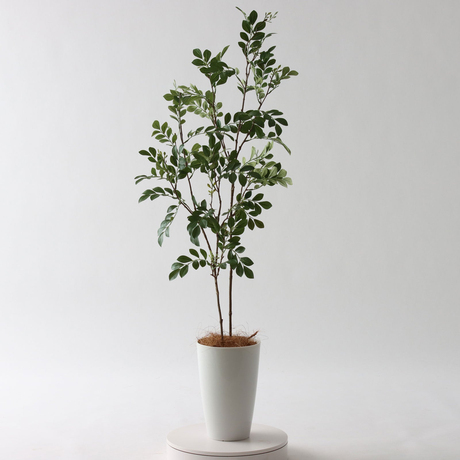 360度回転イメージ