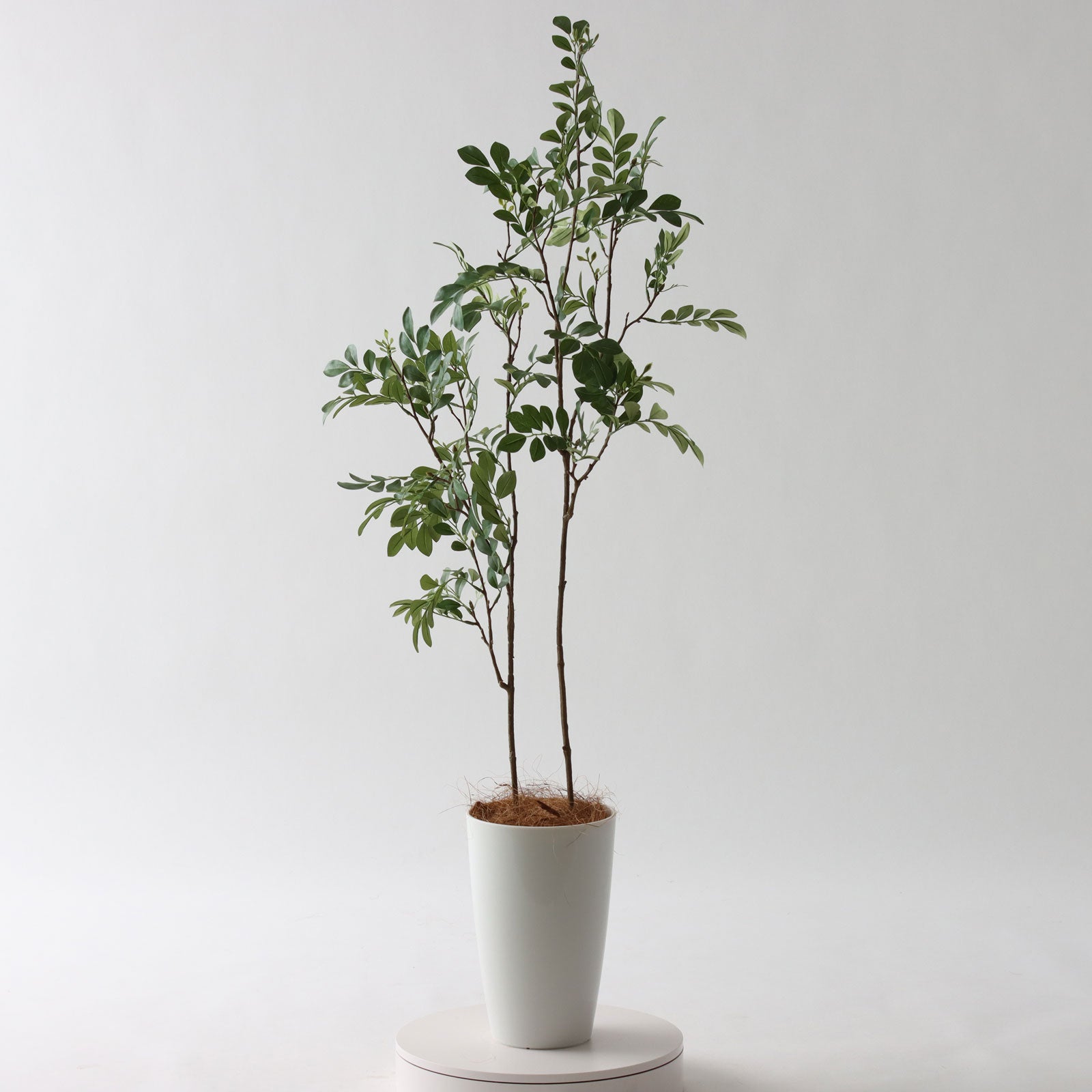 光触媒 人工観葉植物 ウォールグリーン フェイクグリーン ジョイント