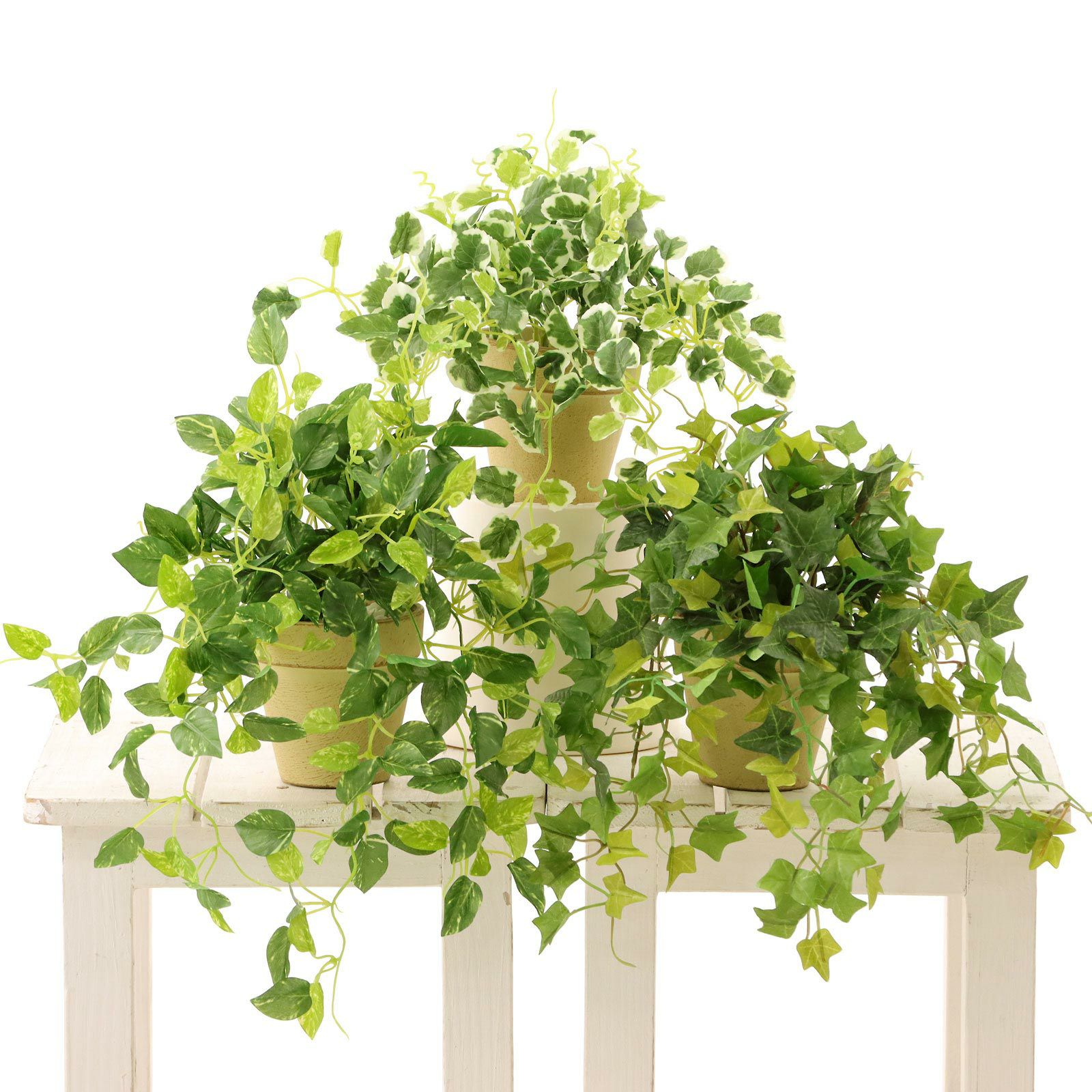 No8271 プレミアム光触媒フェイクグリーン 「爽やかな斑入り葉