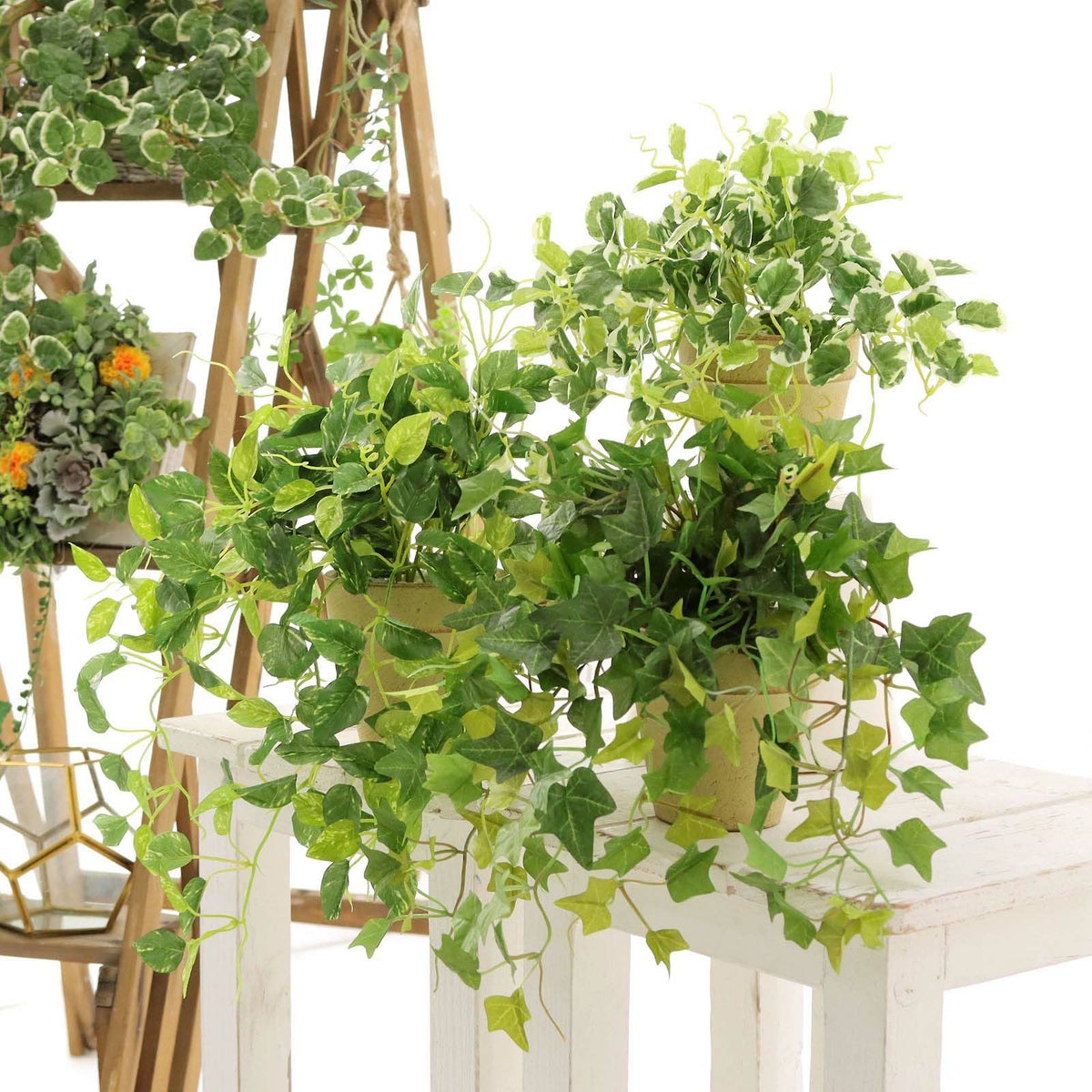 フェイクグリーン の お買い得3点セット