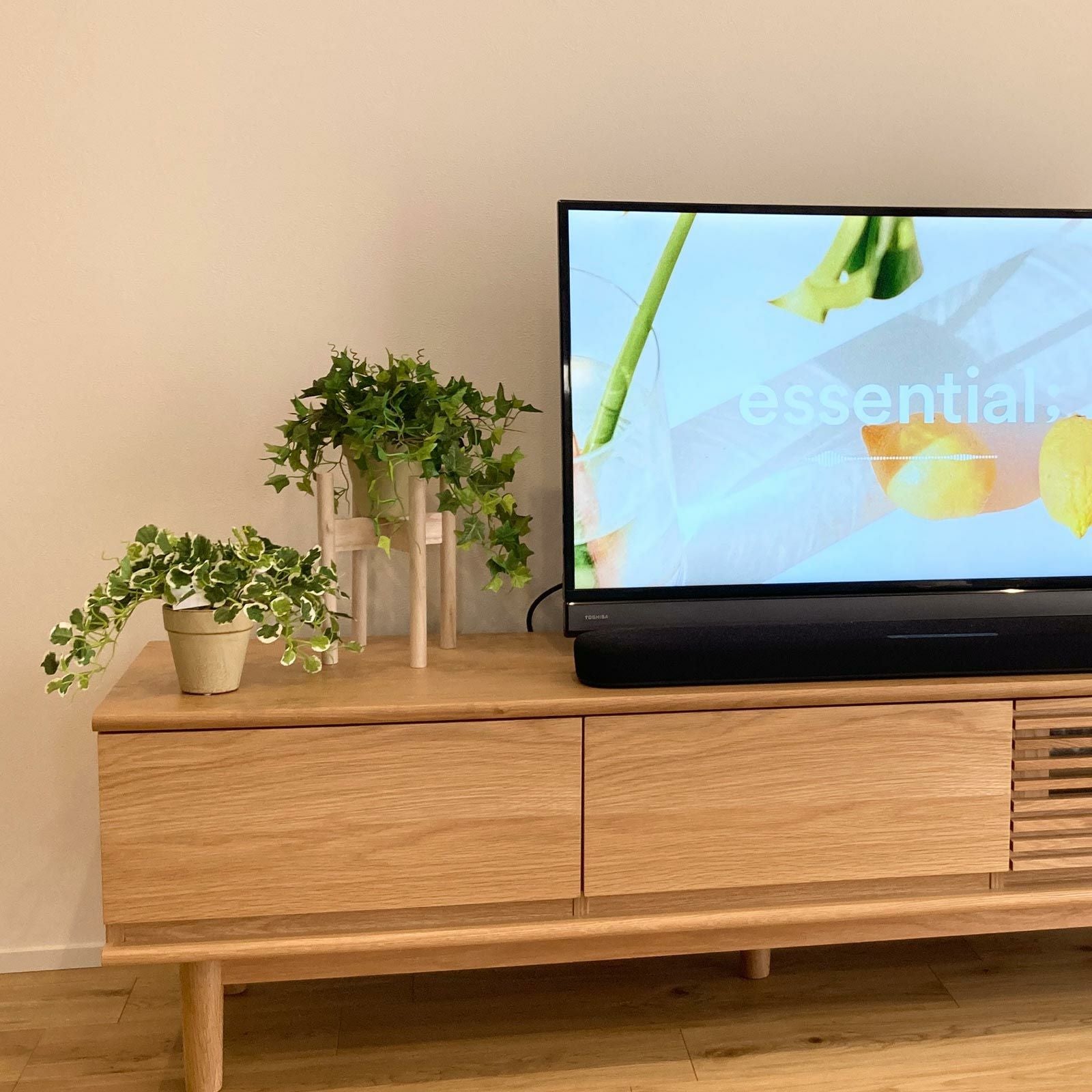 テレビ横の余白に置かれたグリーン