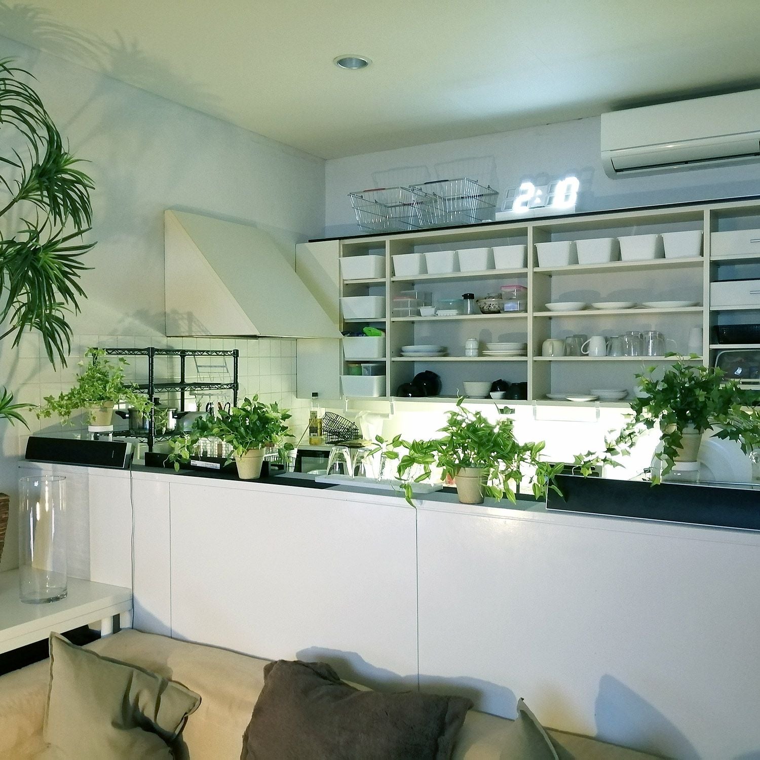 キッチンカウンターのグリーン