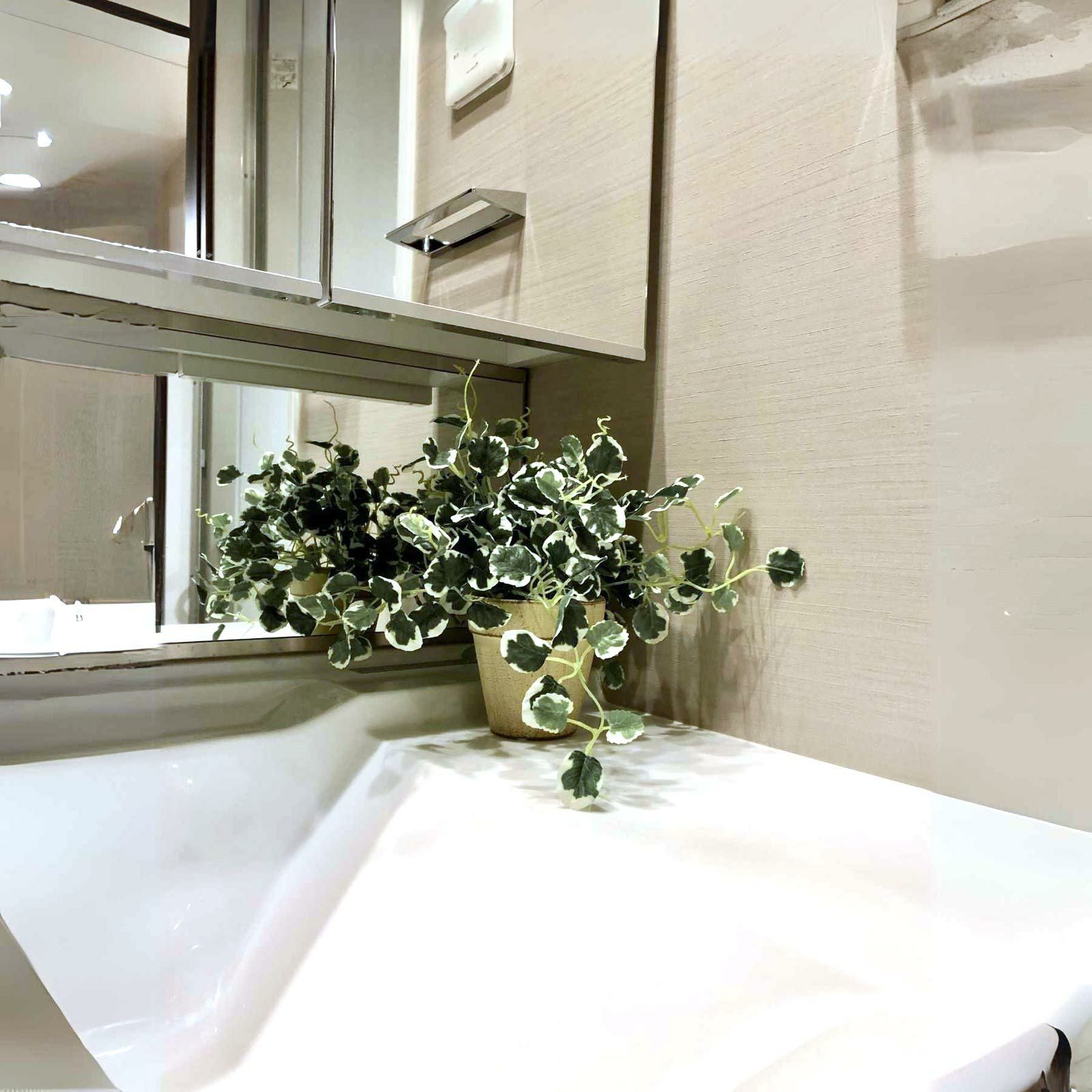 洗面所のグリーン