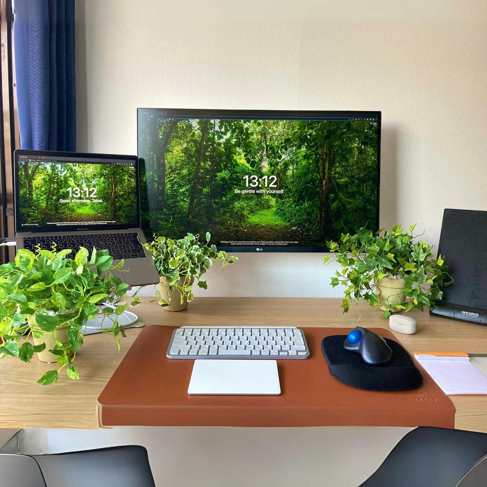 デスク上のグリーン