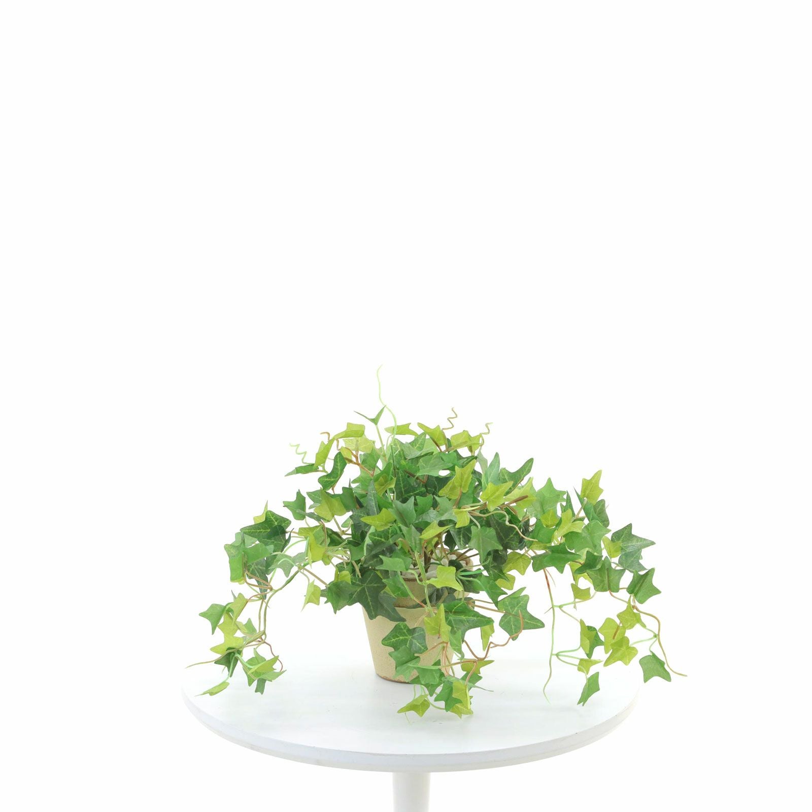 観葉植物 No8407 フェイクグリーン 「表情のちがう3つの葉で彩る × 並べるだけで