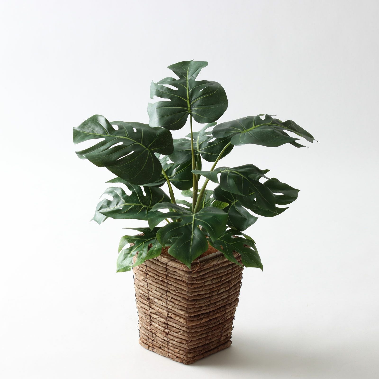 フェイクグリーン モンステラ 光触媒 観葉植物 造花 インテリア