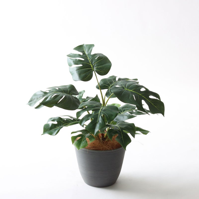 ⑱Nagomiポット（NP5 ブラック）鉢カバーセット