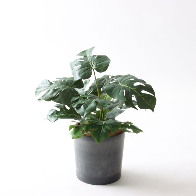 ⑰ Petraポット（PT5 チャコール）高さ調整セット（+0cm）