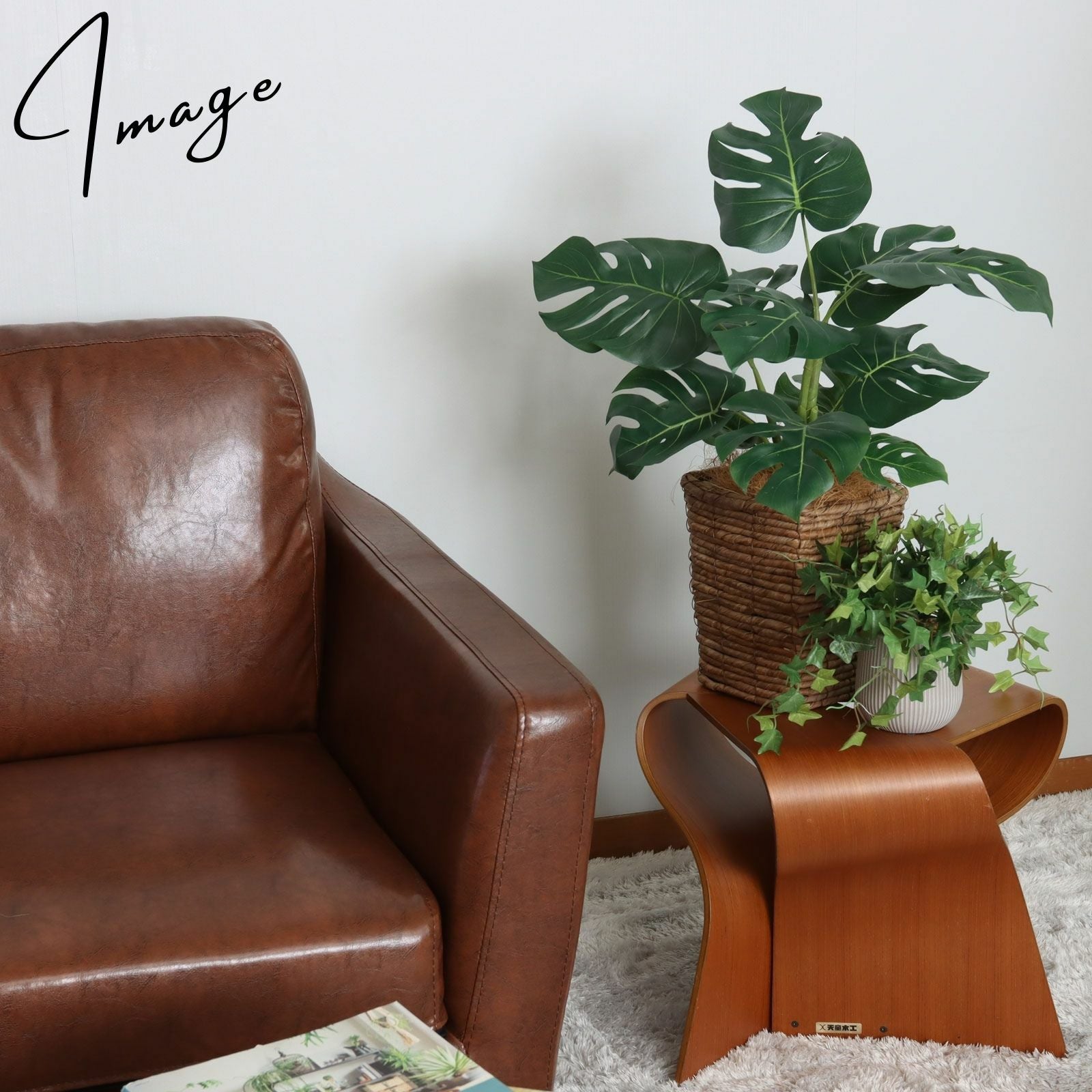 モンステラのある光の差し込む空間