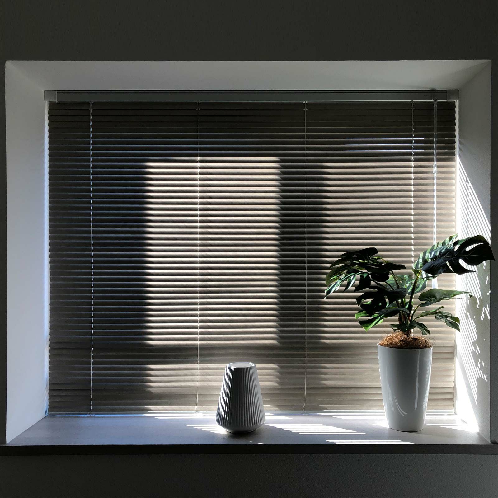 モンステラが空間に馴染む様子