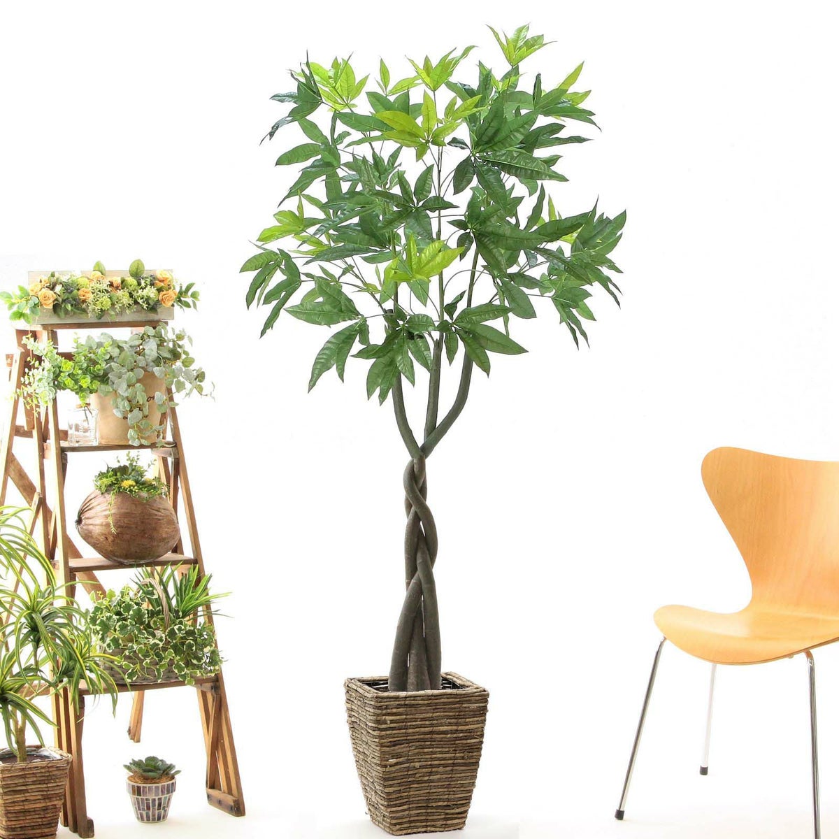 ② バナナリーフ 大（KG5-SRE）