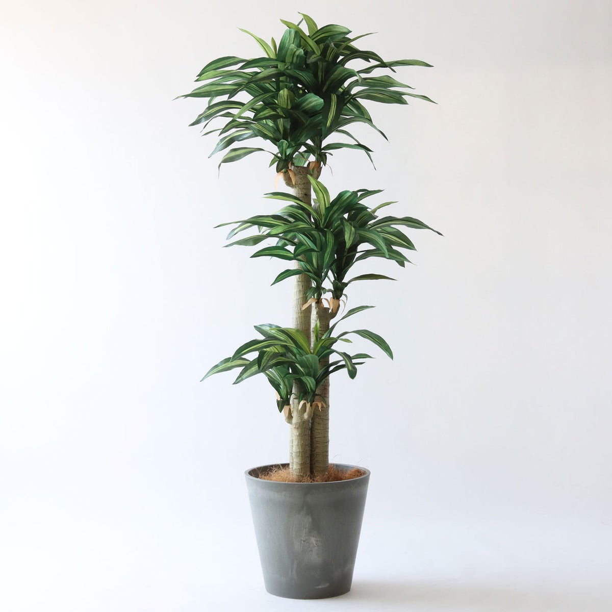 ⑯ Petraポット 大（PT10 グレー）鉢カバー＋底上げセット