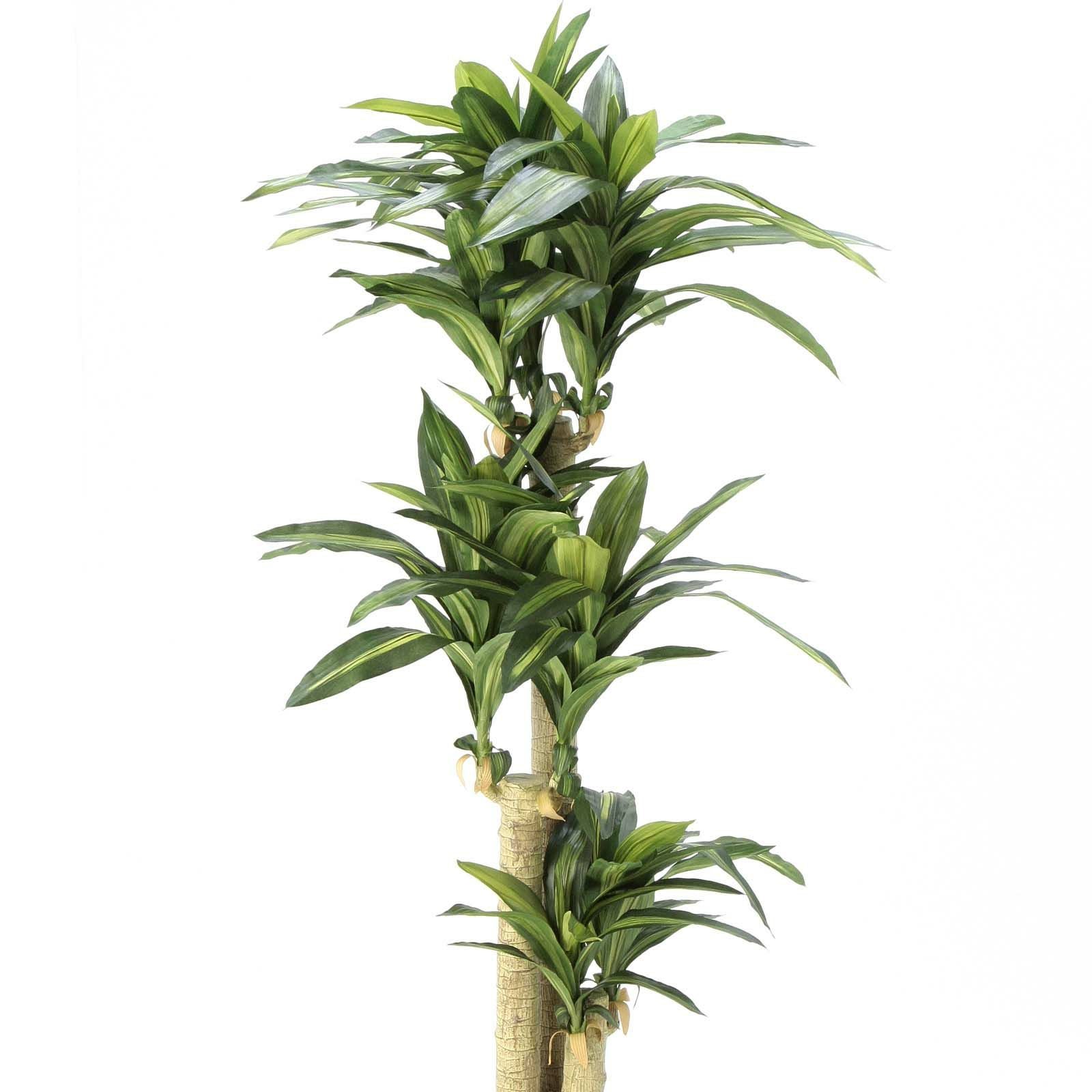 光触媒　人工観葉植物　フェイクグリーン　ドラセナ　幸福の木1.1 観葉植物【フェイクグリーン】ドラセナ 幸福の木 120cm ベースポット