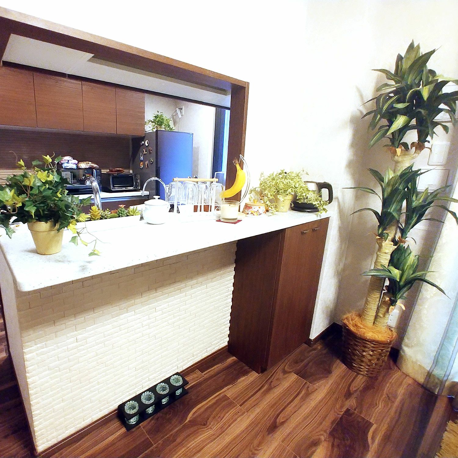 ダイニングカウンター横のグリーン