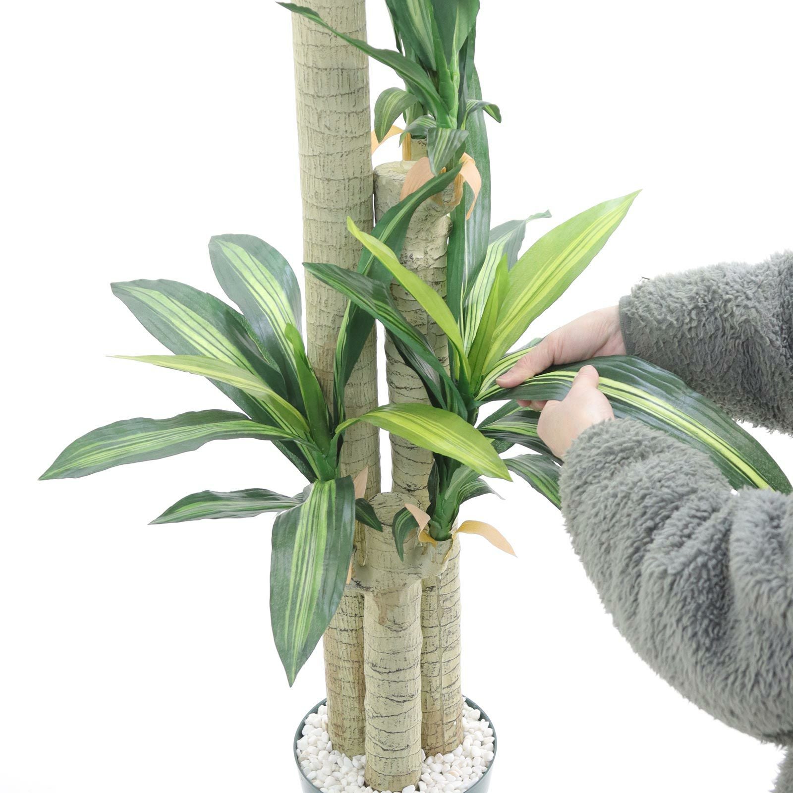 光触媒　人工観葉植物　フェイクグリーン　フレッシュドラセナW1.8m 光触媒 人工観葉植物 フェイクグリーン ドラセナ 高さ 1.8m | 太郎's STORE