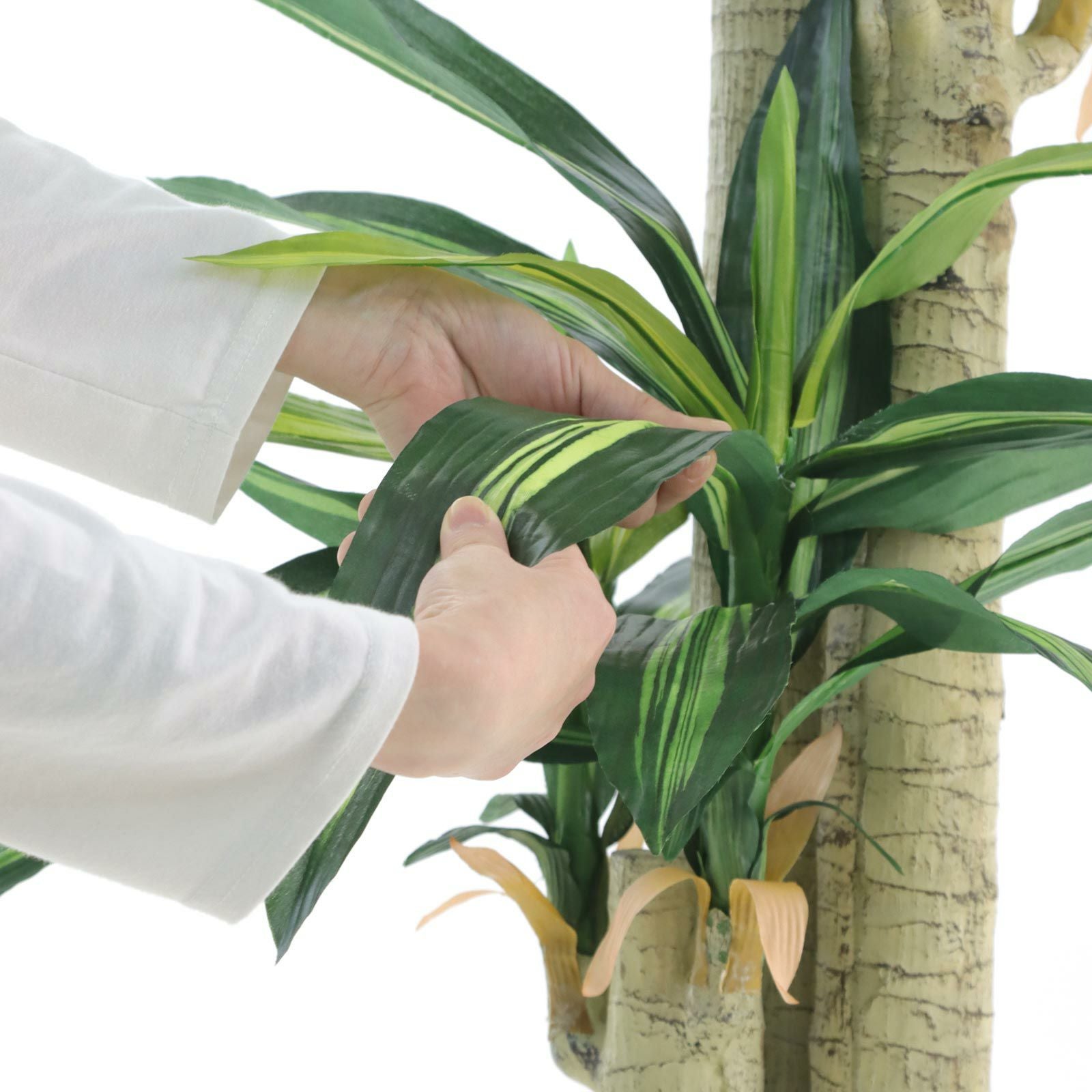 No8123 プレミアム光触媒フェイクグリーン 「爽やかな葉色 × 安定感