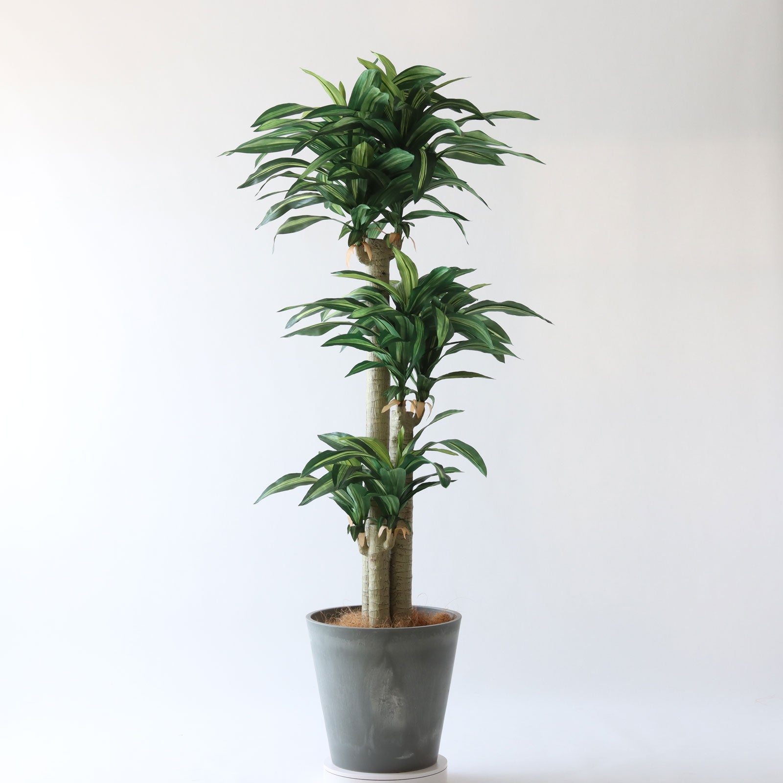 360度回転イメージ