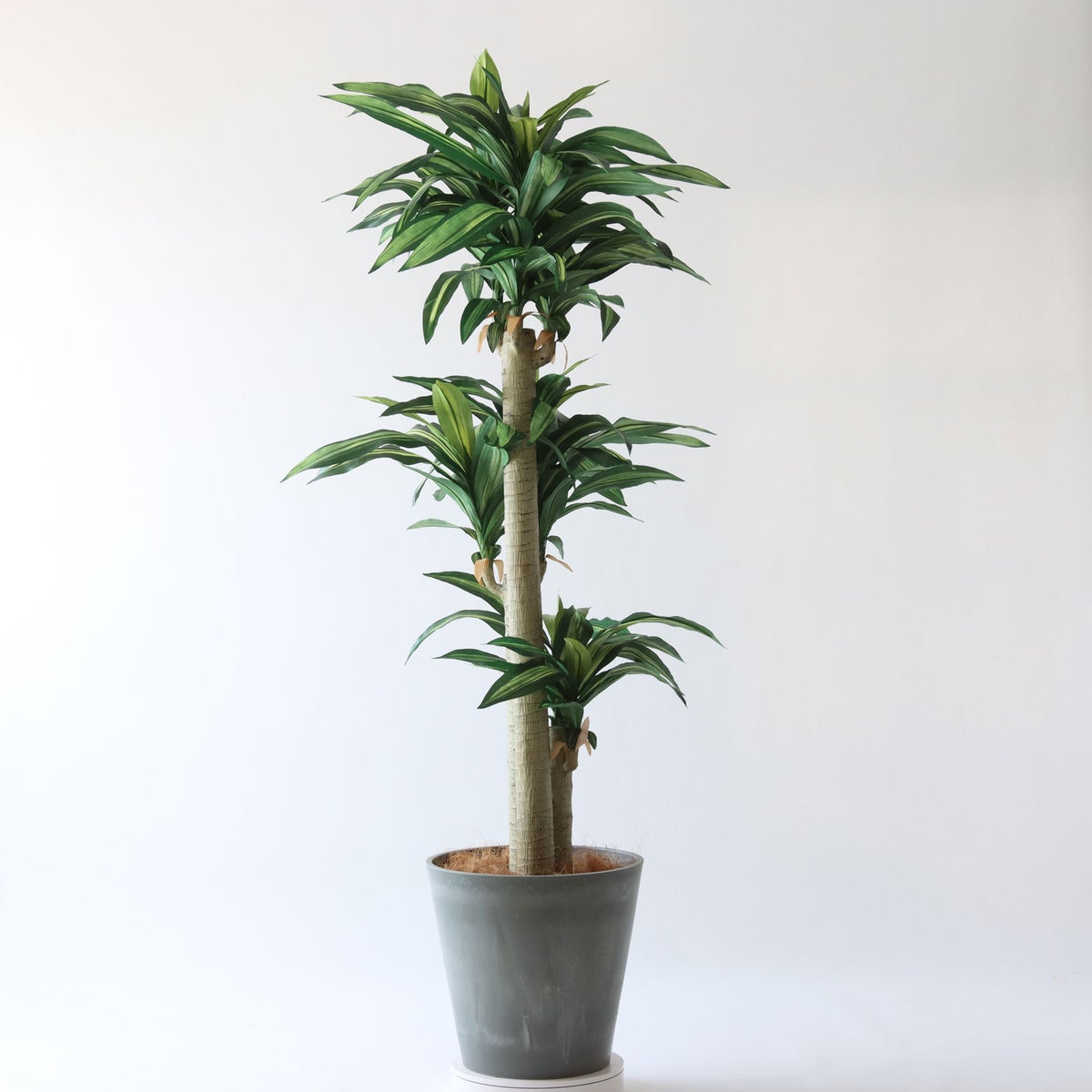 ① シーグラス 大（SK8）鉢カバーセット