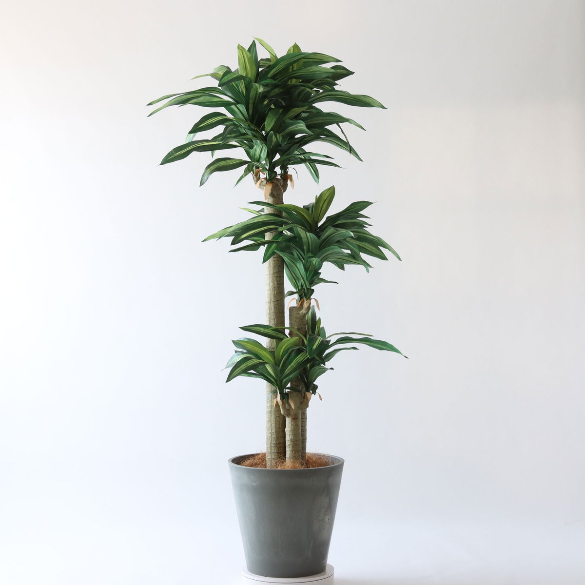 ⑭ プラ鉢（標準）