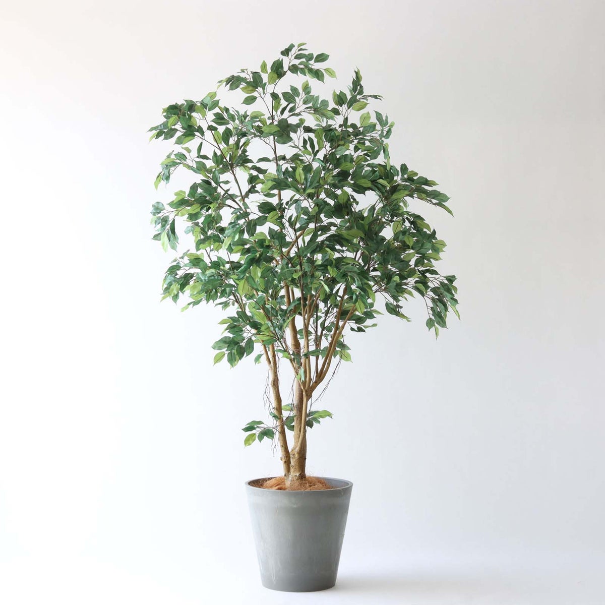 ⑯ Petraポット 大（PT10 グレー）鉢カバー＋底上げセット