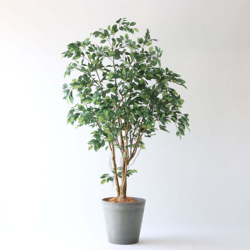 ⑯ Petraポット 大（PT10 グレー）鉢カバー＋底上げセット