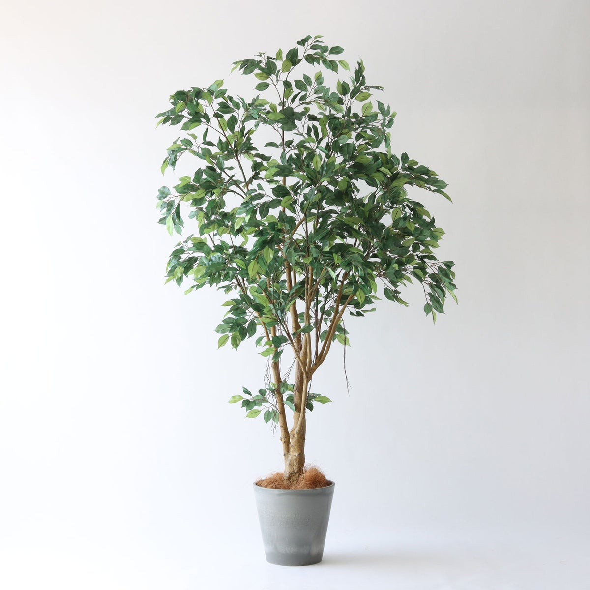 ⑮ Petraポット 小（PT8 グレー）鉢カバー＋底上げセット