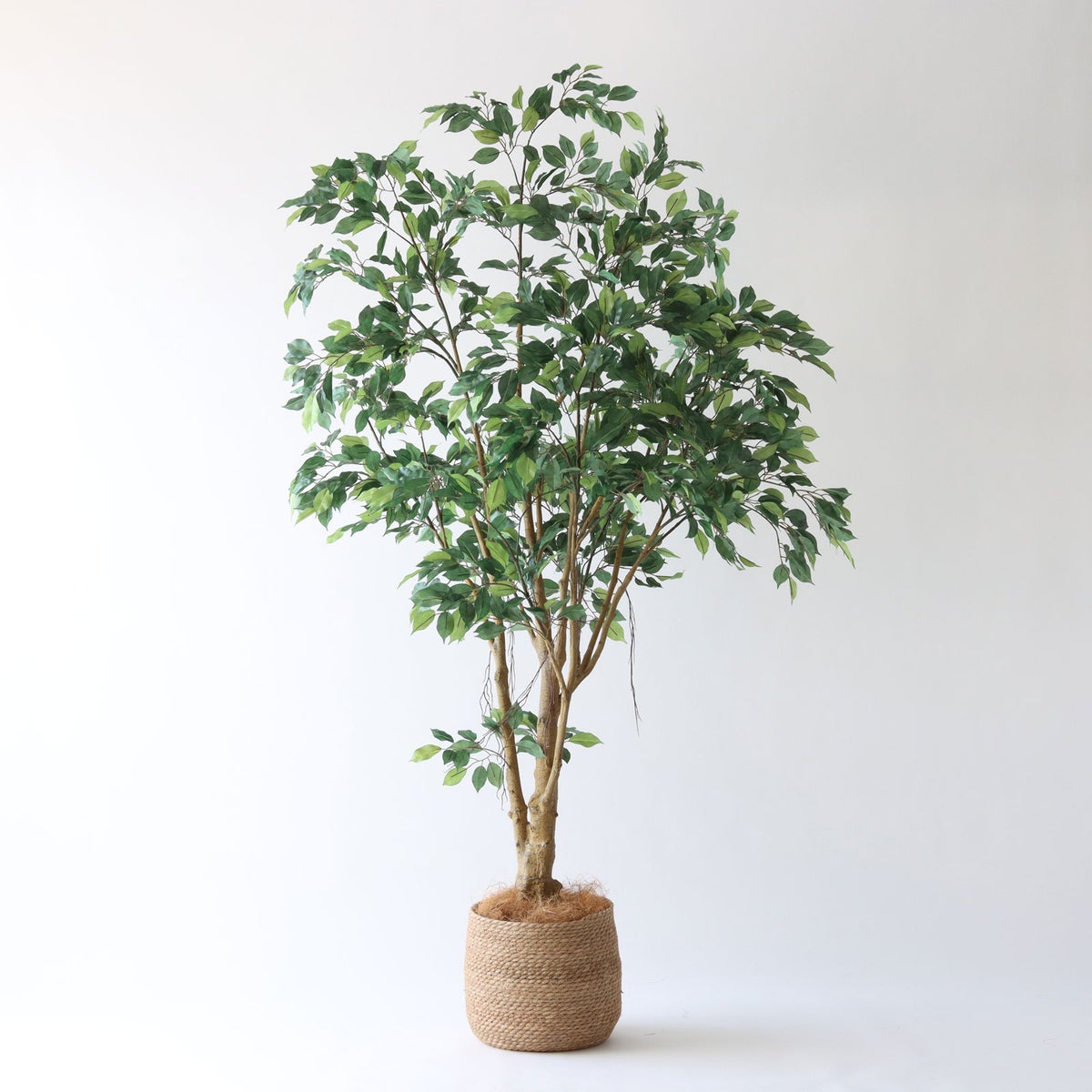 ① シーグラス 大（SK8）鉢カバーセット