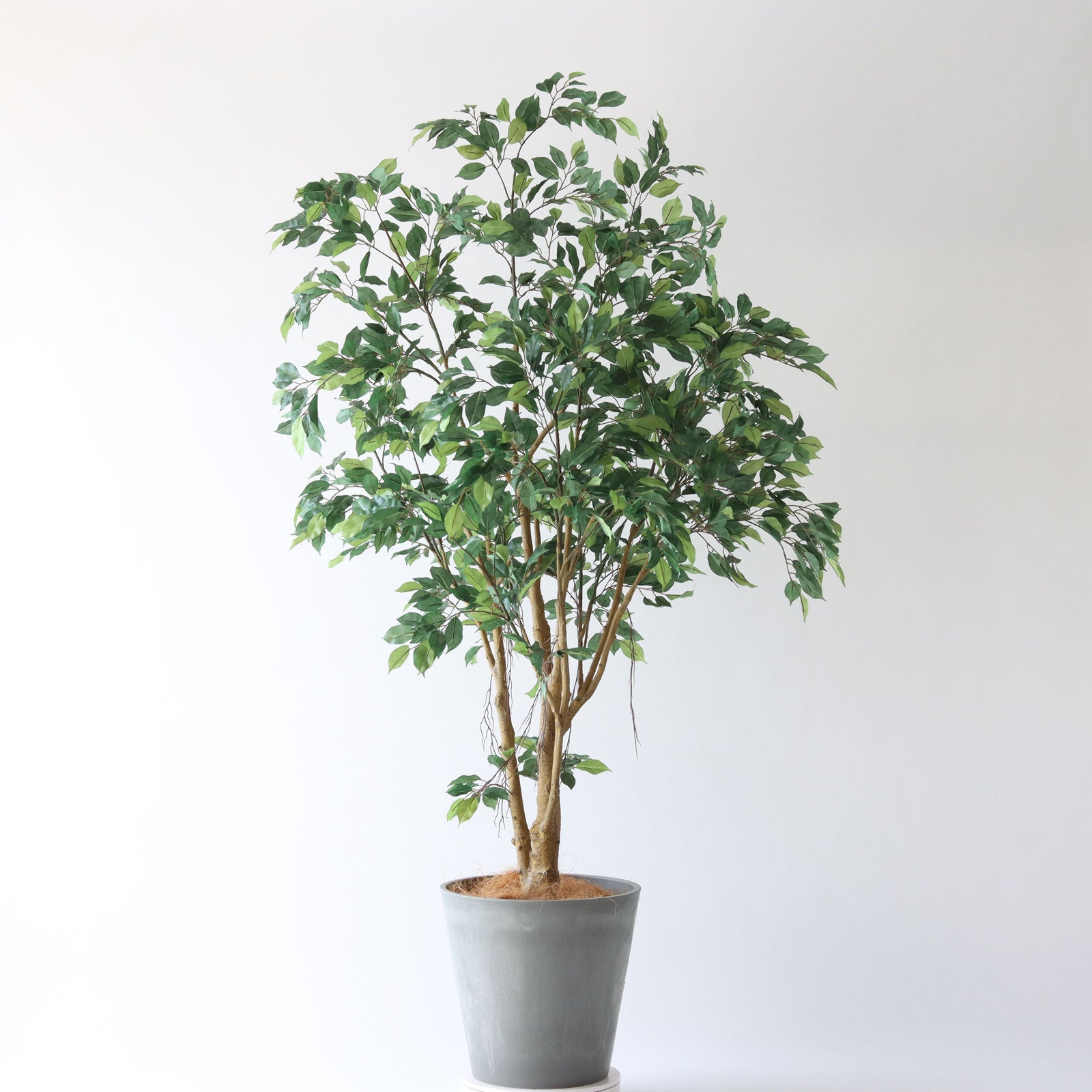 360度回転イメージ