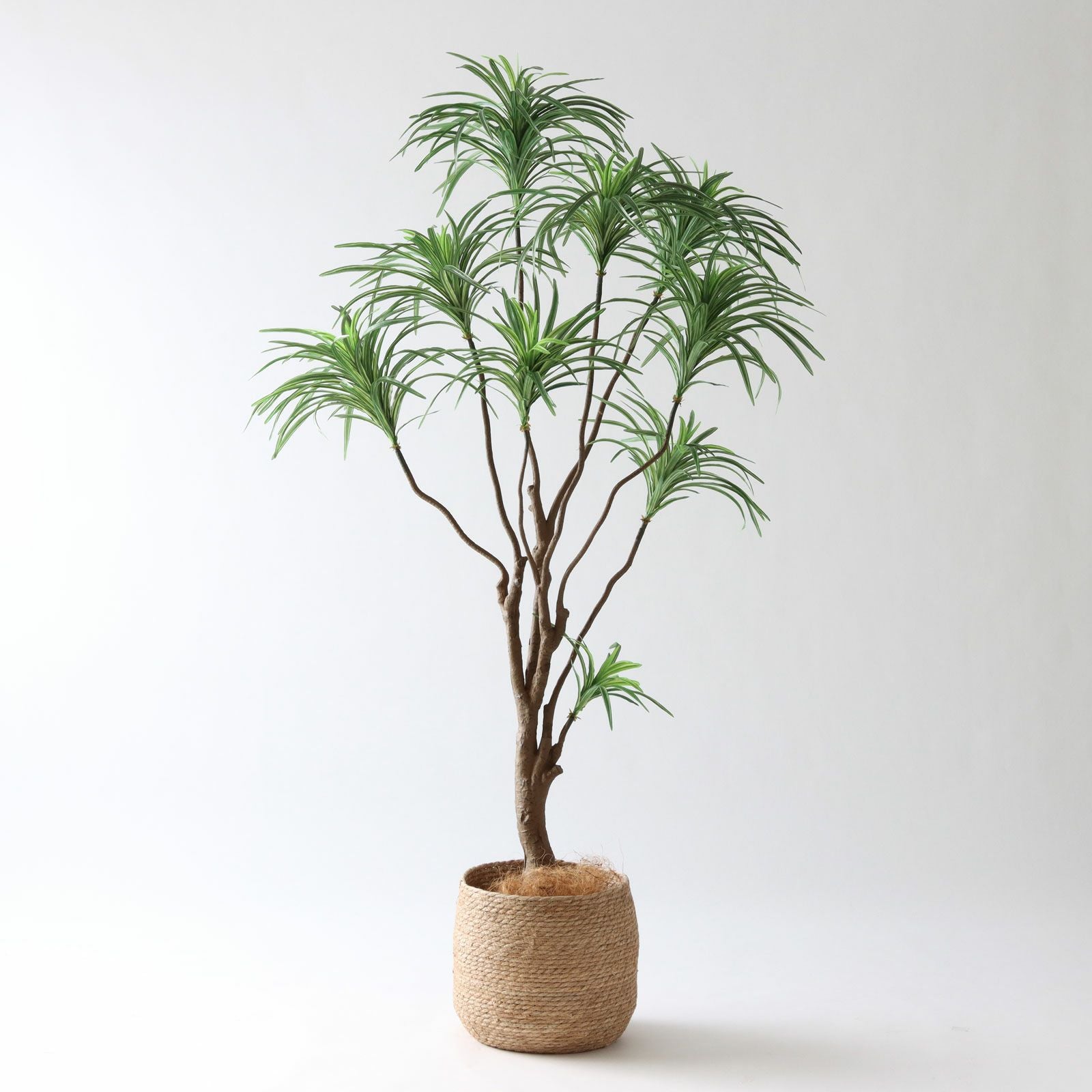 プレミアム光触媒フェイクグリーン 造花ドットコム zouka.com