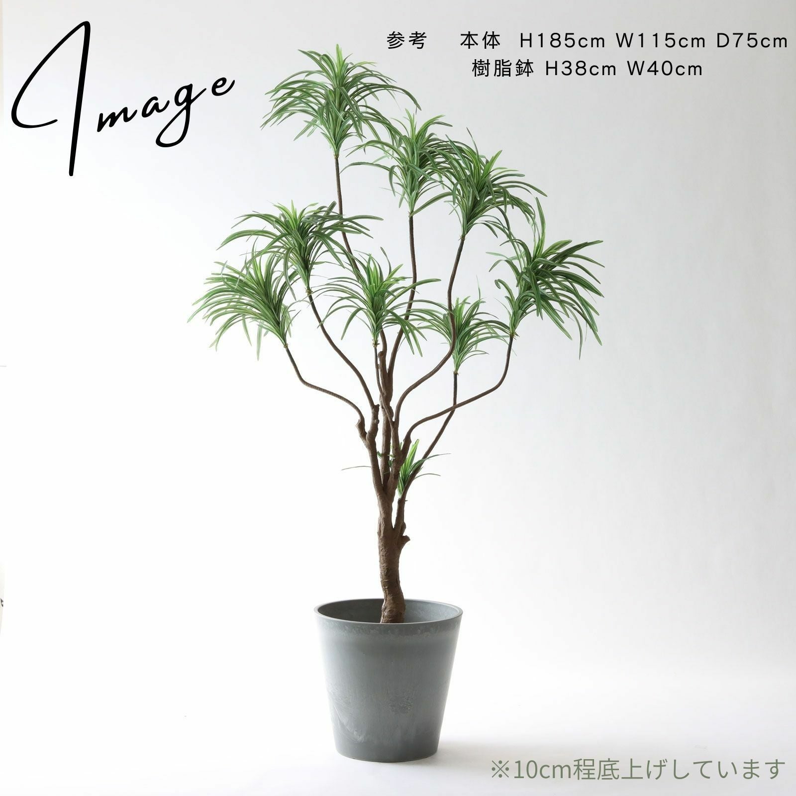 No8182 プレミアム光触媒フェイクグリーン「枝を自由に曲げて × 空間に