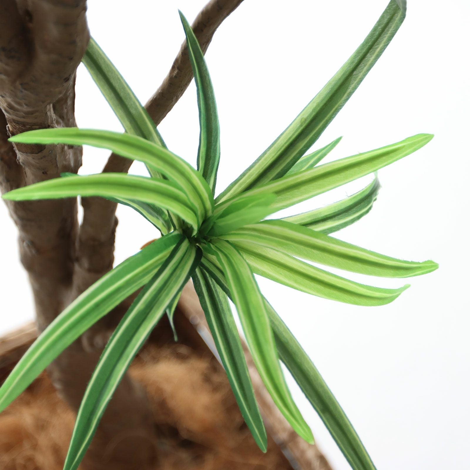 No8182 プレミアム光触媒フェイクグリーン「枝を自由に曲げて × 空間に