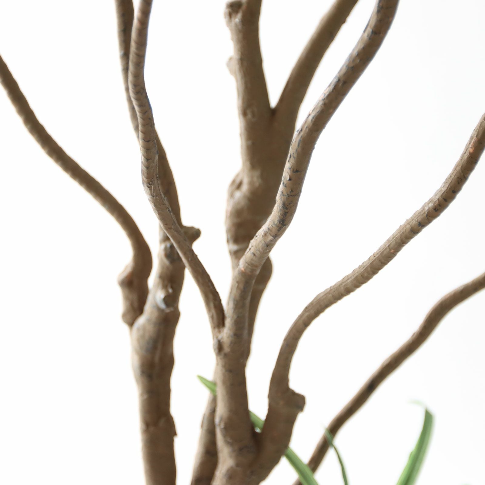 No8182 プレミアム光触媒フェイクグリーン「枝を自由に曲げて × 空間に