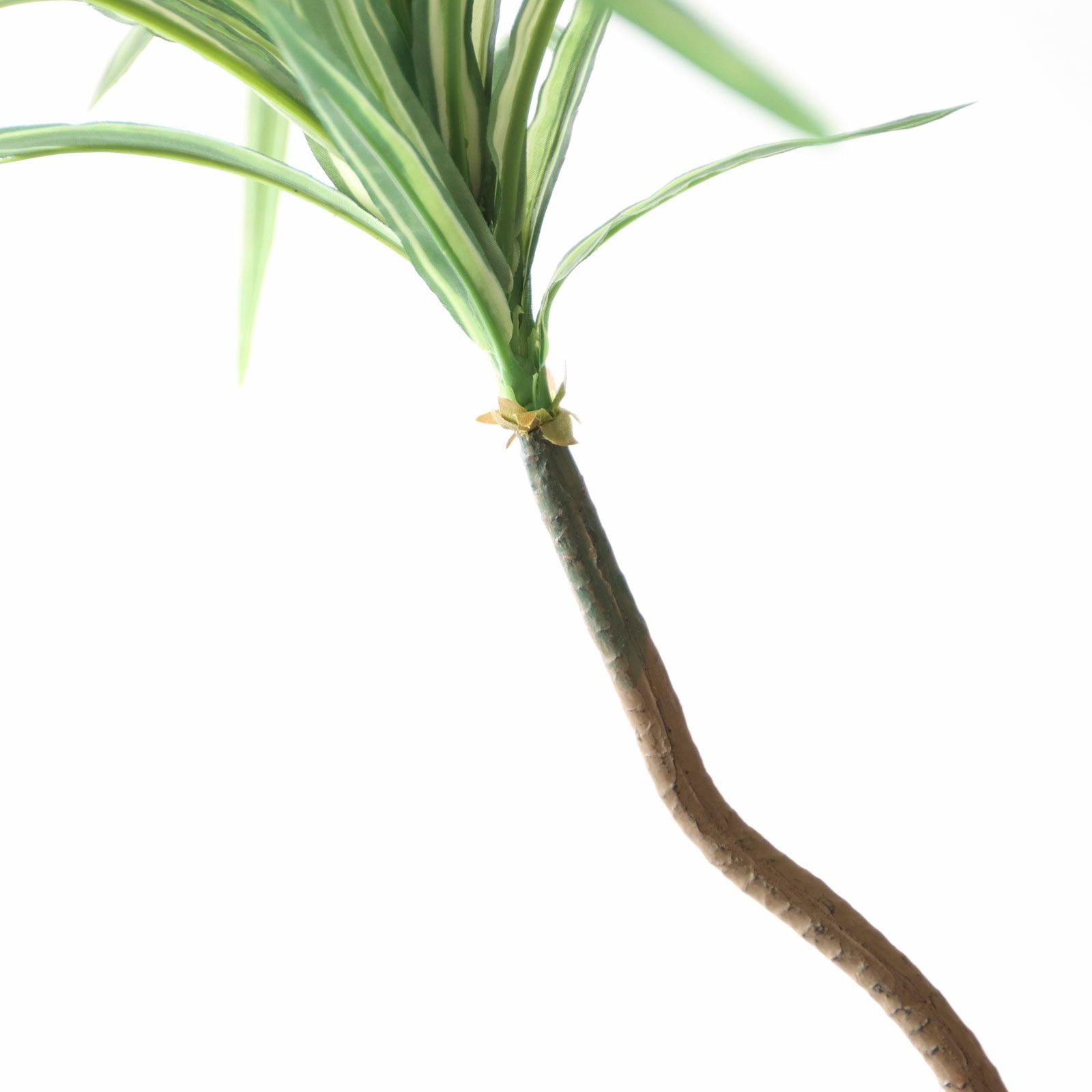 No8182 プレミアム光触媒フェイクグリーン「枝を自由に曲げて × 空間に