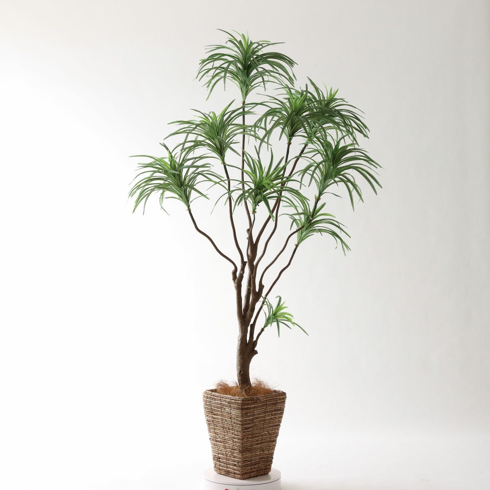 360度回転イメージ