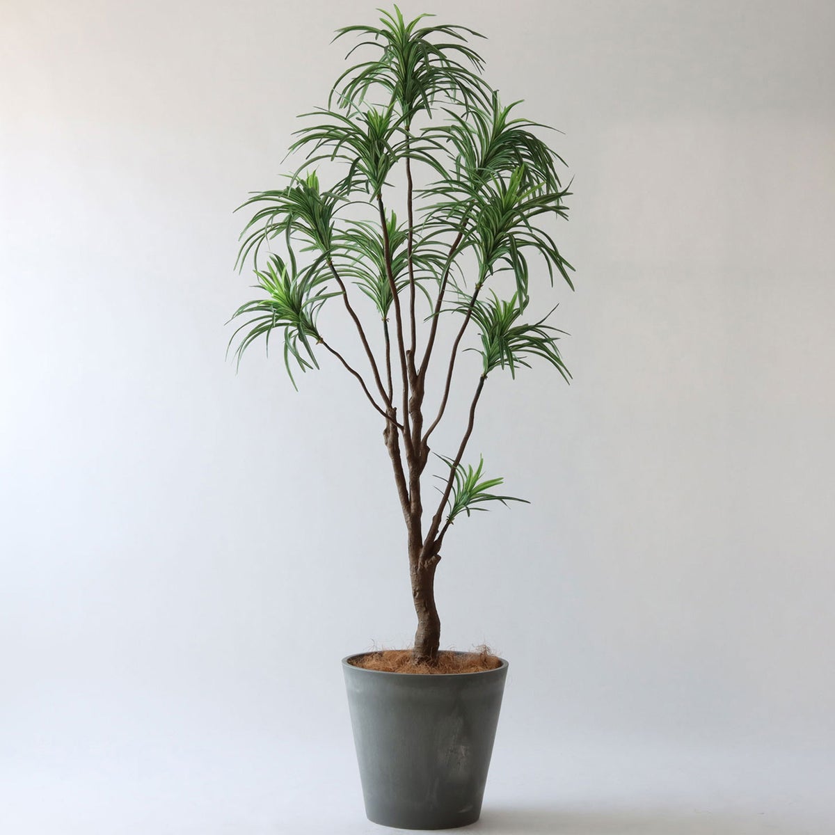 ⑯ Petraポット 大（PT10 グレー）鉢カバー＋底上げセット