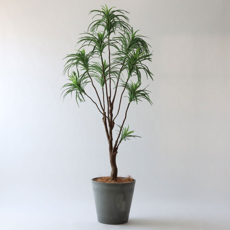 ⑯ Petraポット 大（PT10 グレー）鉢カバー＋底上げセット