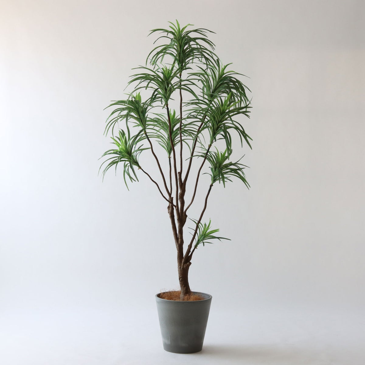 ⑮ Petraポット 小（PT8 グレー）鉢カバー＋底上げセット