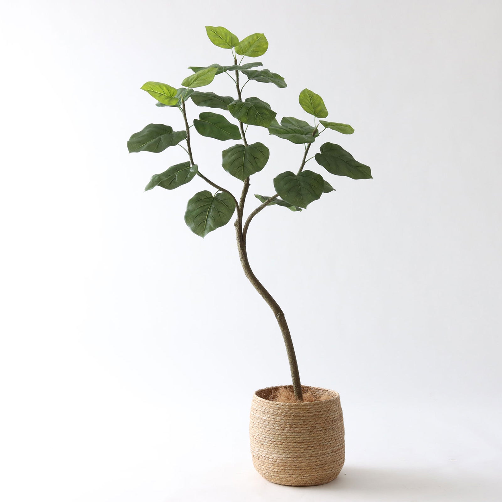 初心者におすすめの定番フェイクグリーン