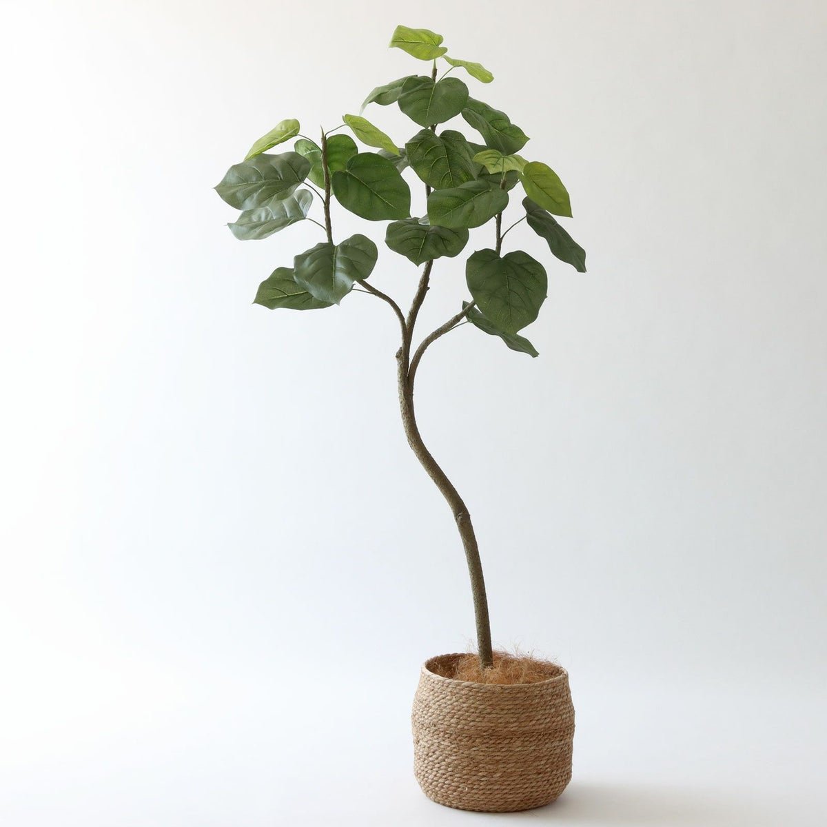 ① シーグラス 大（SK8）鉢カバーセット