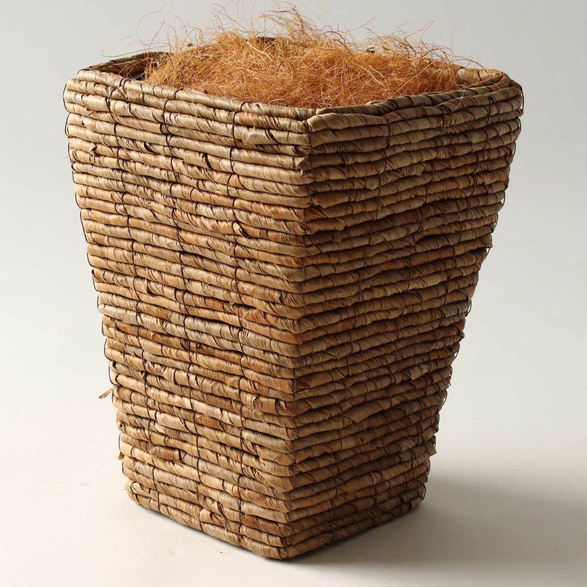 ② バナナリーフ 大（KG5-SRE）鉢カバーセット