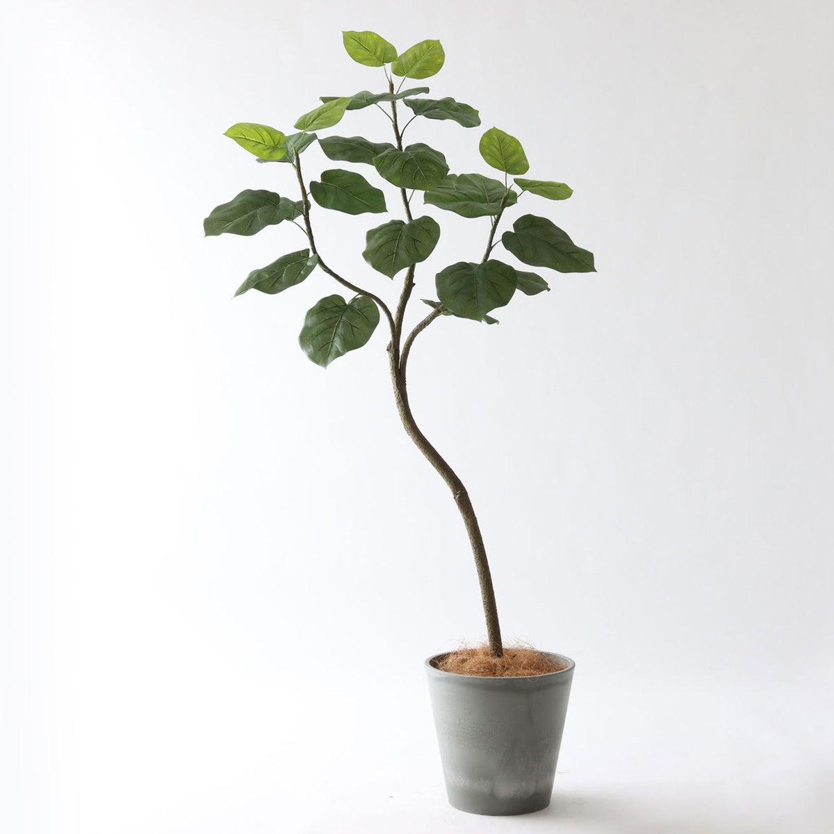 ⑮ Petraポット 小（PT8 グレー）｜高さ調整セット（+10cm）