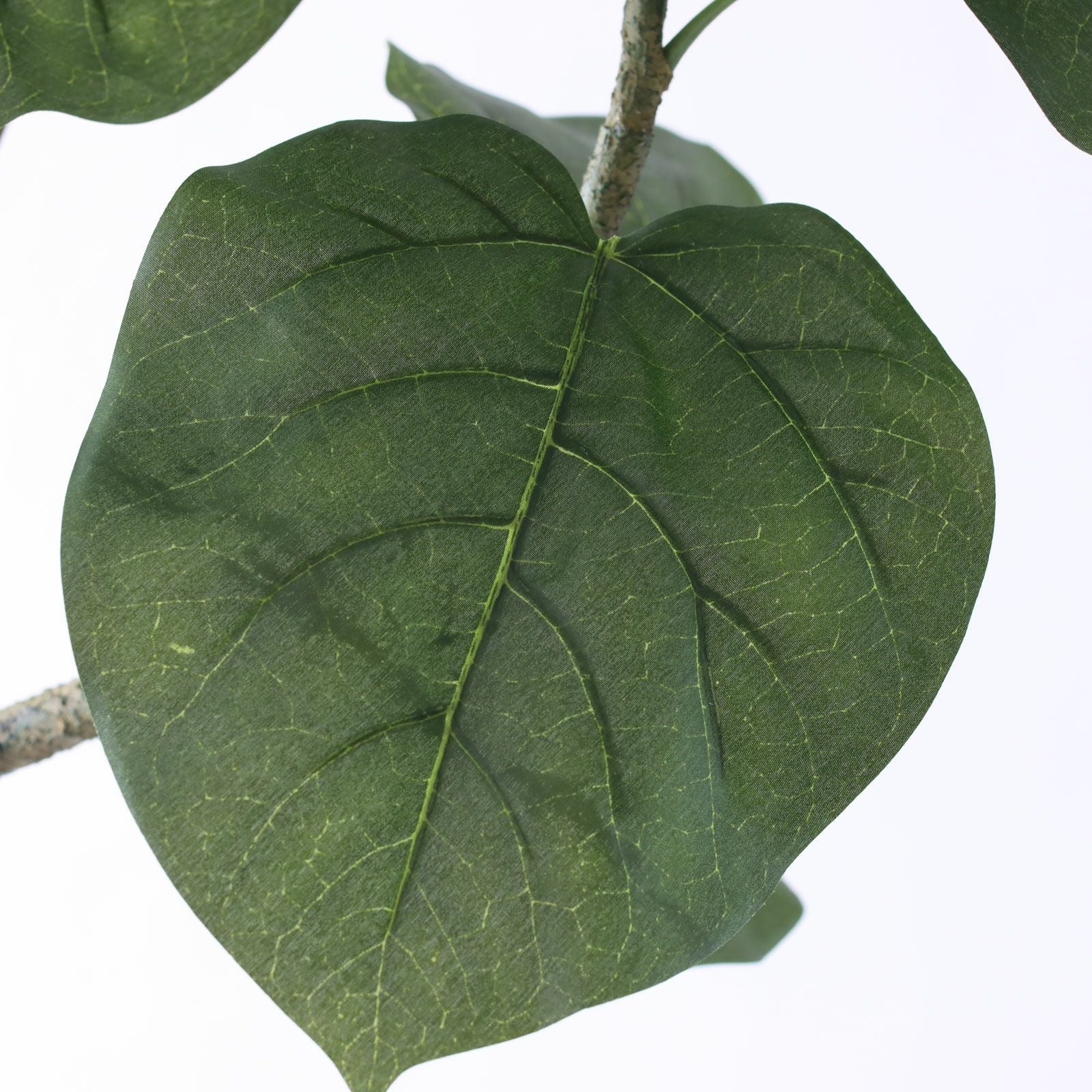 No9266 プレミアム光触媒フェイクグリーン 「しなやかな幹線 × 存在感