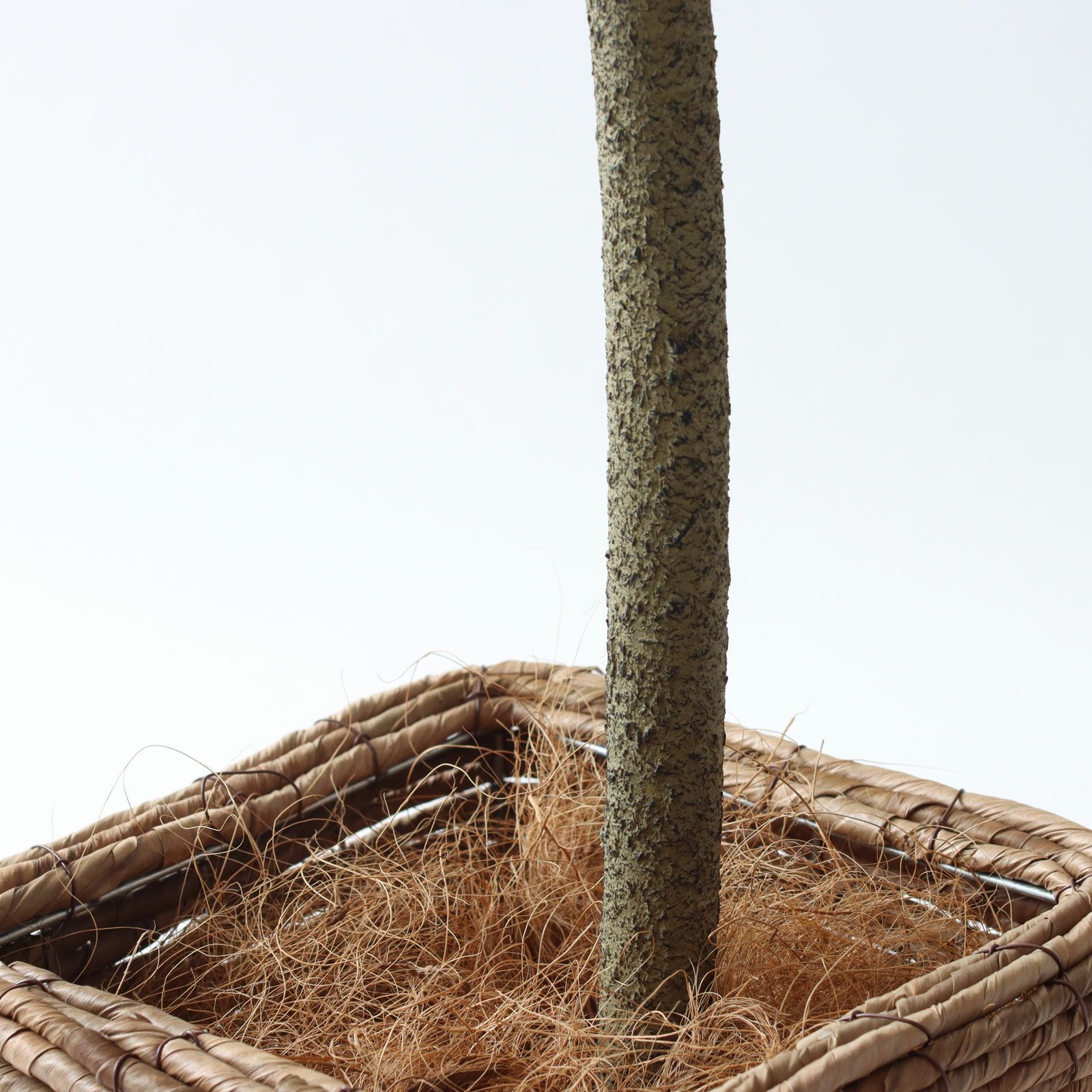 No9266 プレミアム光触媒フェイクグリーン 「しなやかな幹線 × 存在感