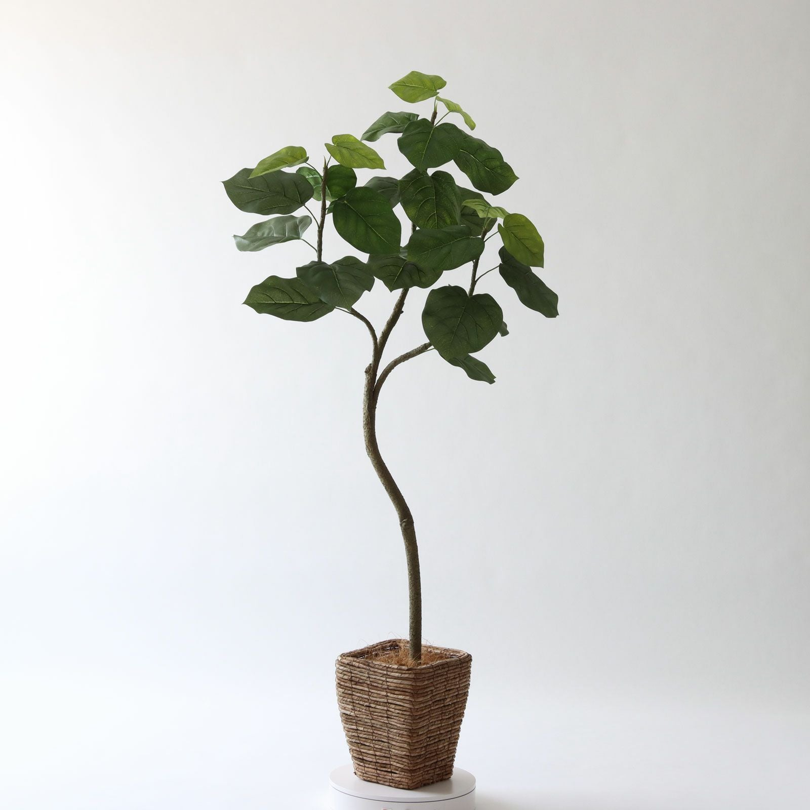 360度回転イメージ