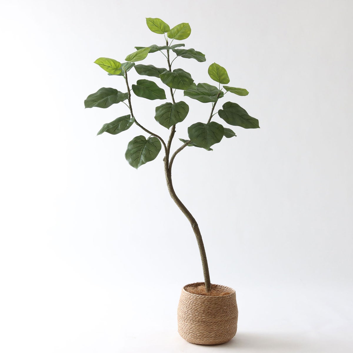  ③ シーグラス 小（SK7）｜標準セット