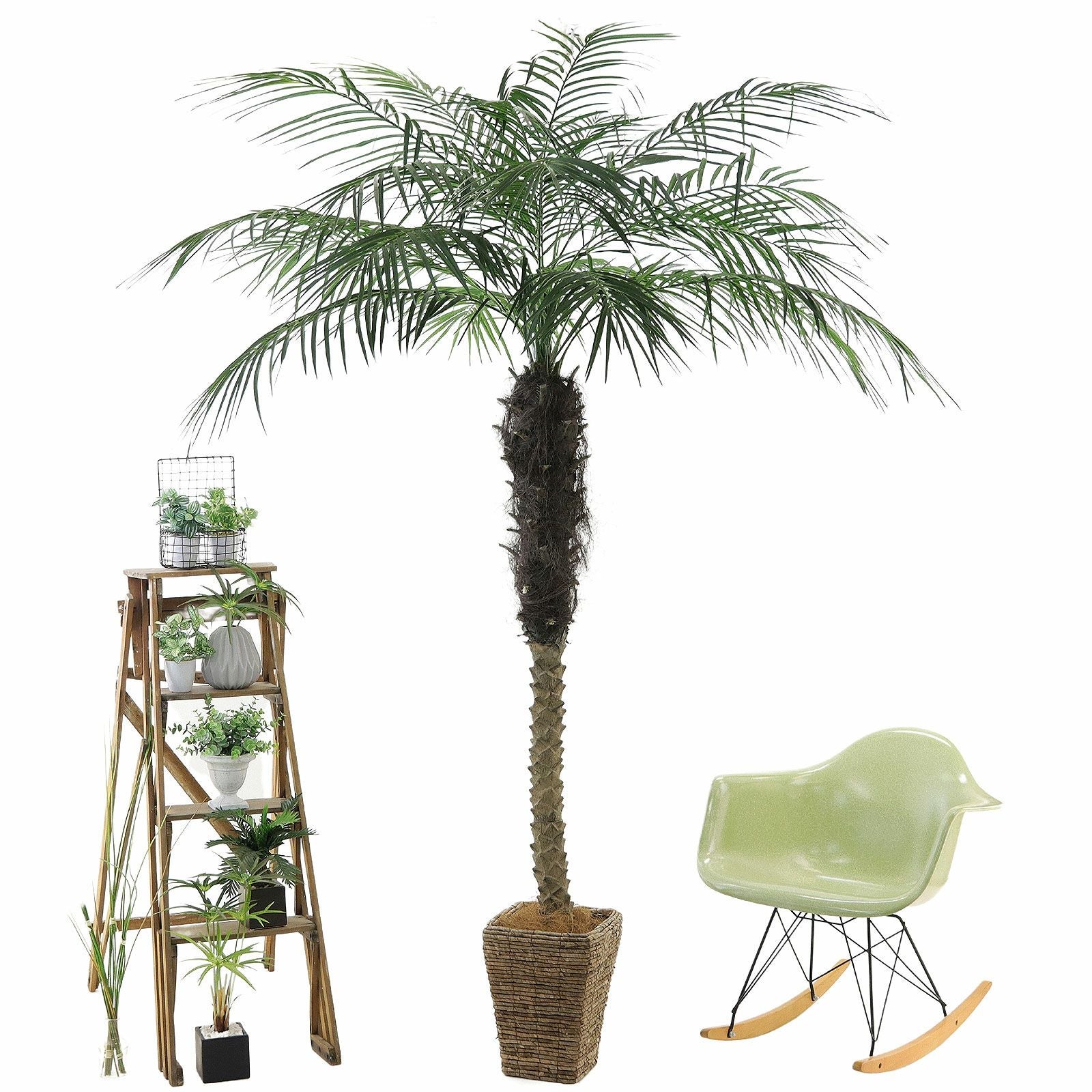 ヤシ フェイクグリーン 商品写真