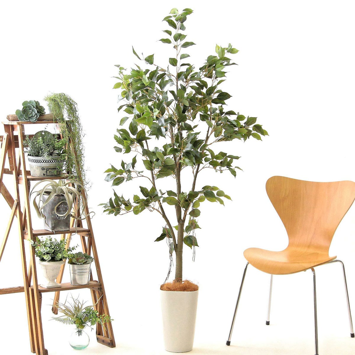 スマートポットCHIC8＋ヤシの繊維（+1500円）