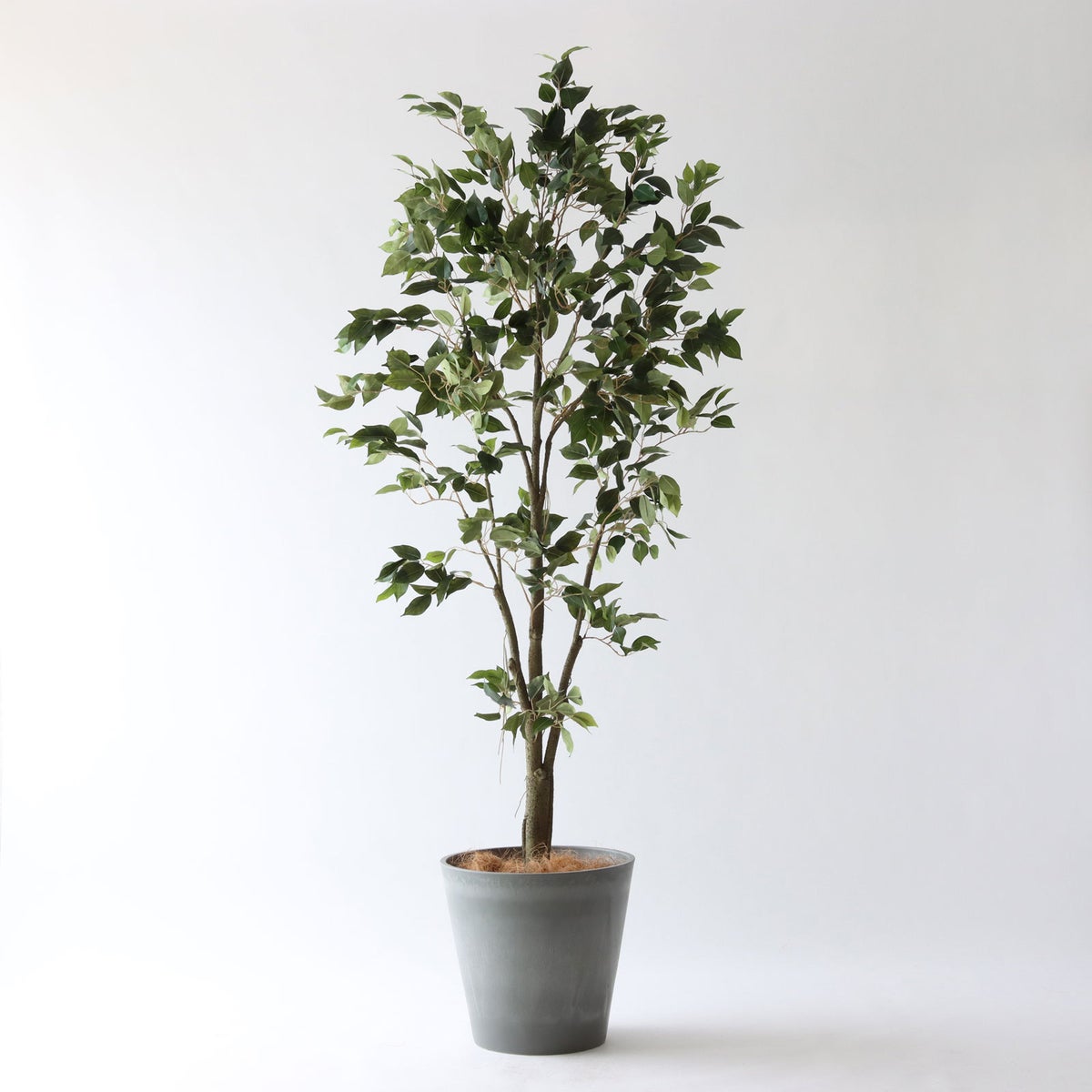 ⑯ Petraポット 大（PT10 グレー）｜高さ調整セット（+15cm）