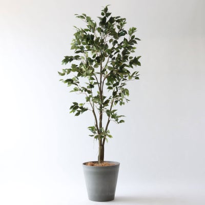 高さ150-180cm | プレミアム光触媒フェイクグリーン 造花ドットコム 
