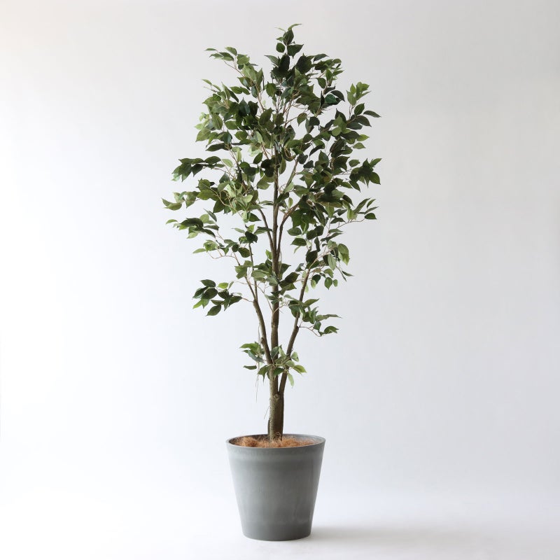 ⑯ Petraポット 大（PT10 グレー）｜高さ調整セット（+15cm）